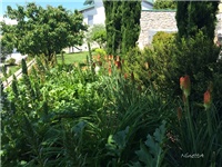 24cec8ff-20160524 tritome .jpg